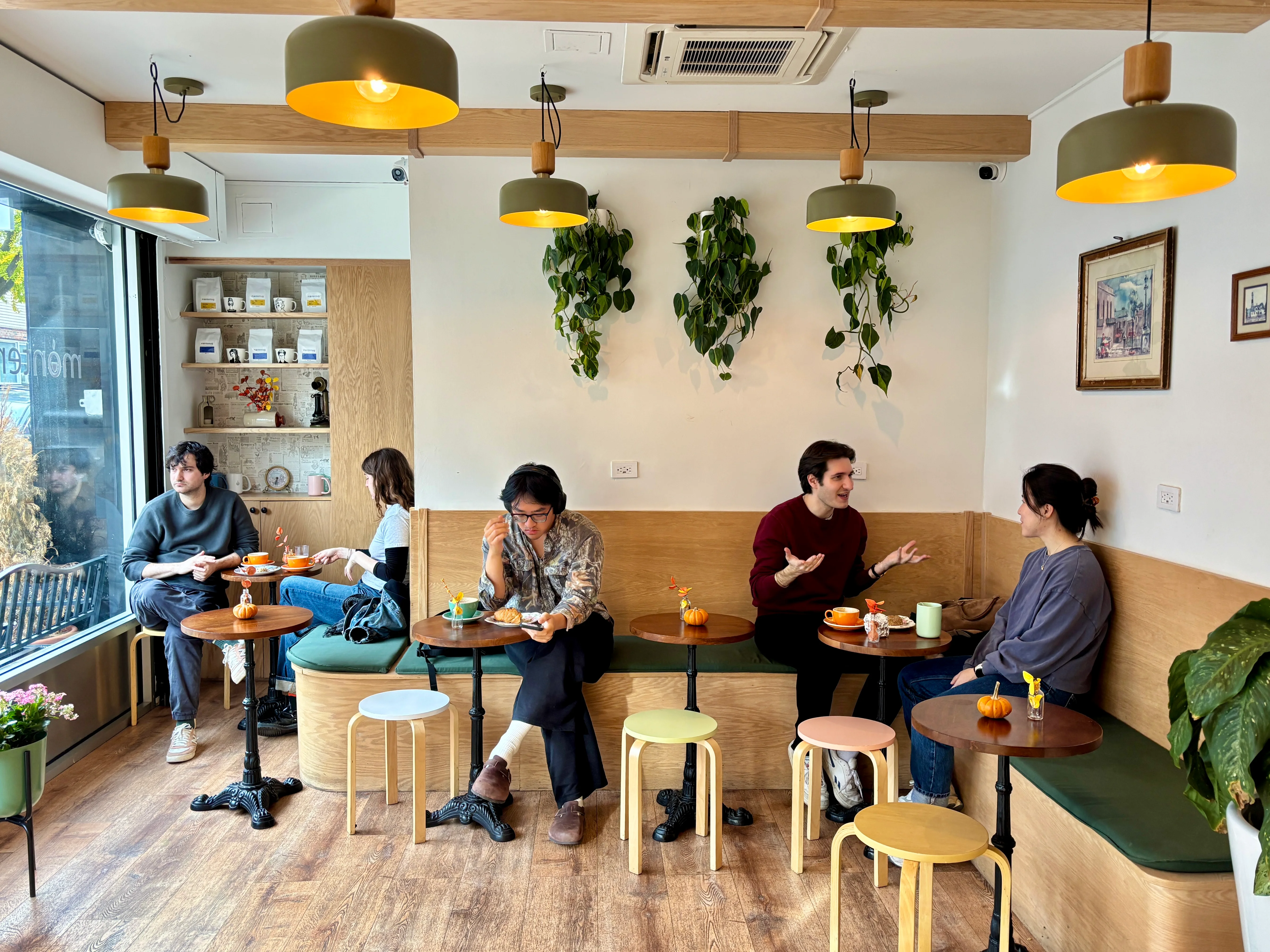 The Montemug Coffee interior with people seated along the window and plants on the wall